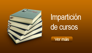 Consultoría en Negocios programas ejecutivos e impartición de cursos