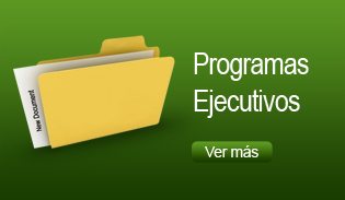 Consultoría en Negocios programas ejecutivos e impartición de cursos