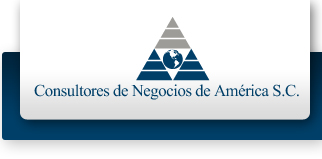 Consultoría en Negocios programas ejecutivos e impartición de cursos